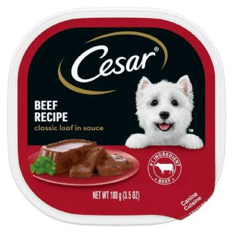 CESAR WET DOG FOOD