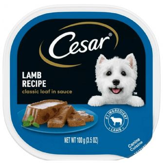 CESAR WET DOG FOOD